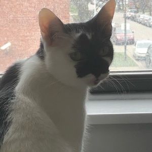 Meet your Posher, Ali